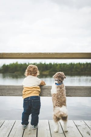 Boy with dog